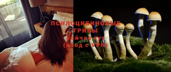 стафф Елабуга