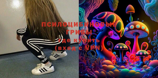мет Елизово