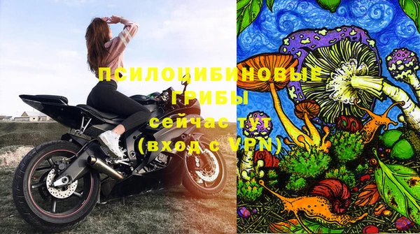 стафф Елабуга