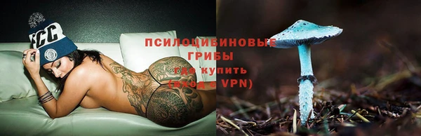 мет Елизово