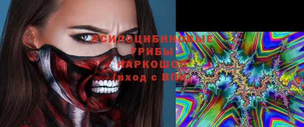 мескалин Ельня