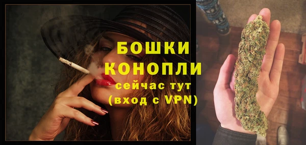 мескалин Ельня