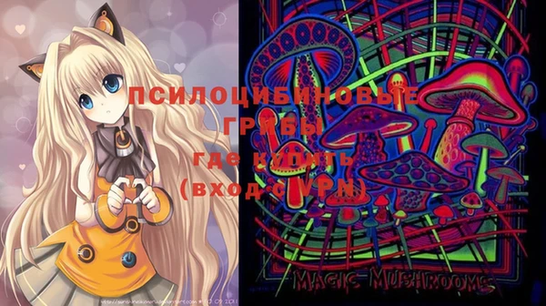 мескалин Ельня